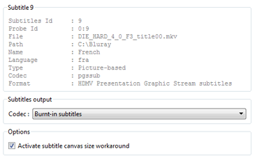 Choose 'Burnt-in subtitles' codec