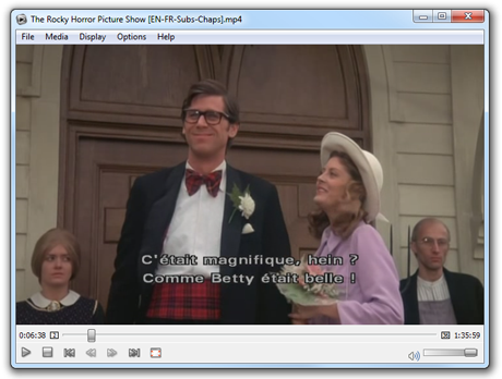 Subtitles visible at their original location on the picture