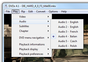 Select audio and subtitles streams in player to make your choice